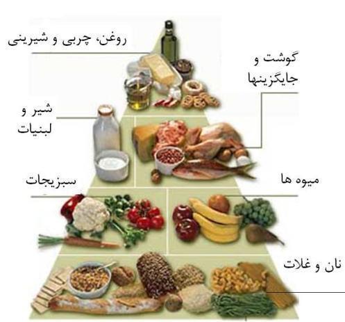 هرم غذایی چیست و چرا اهمیت دارد ؟
